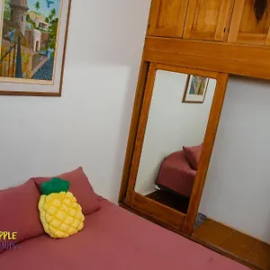 Pineapple Hospitality Apartment